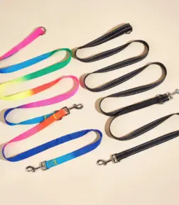 Durable Nylon Dog Leash