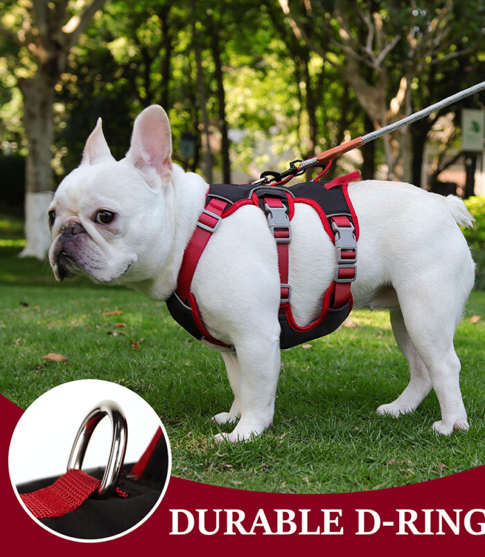 50546-3eba73bfb0a2891f0ea9d4b9d6ce08ae.jpg 50546-3eba73bfb0a2891f0ea9d4b9d6ce08ae.jpg