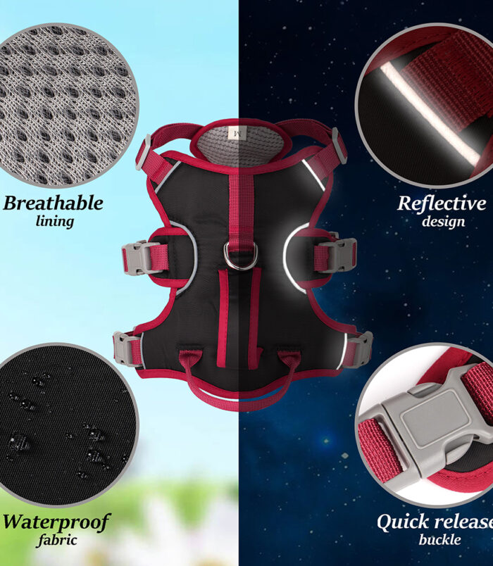 50546-882ffbcd63c41fc5b21d130394fbb923.jpg 50546-882ffbcd63c41fc5b21d130394fbb923.jpg