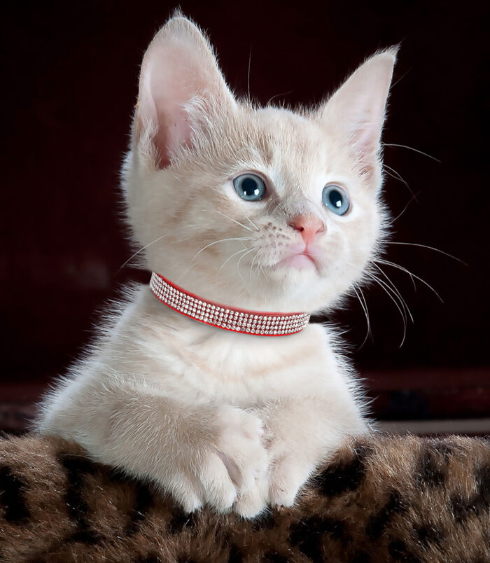 50582-b91d97c55ad1dad85c9f668d6778b905.jpg 50582-b91d97c55ad1dad85c9f668d6778b905.jpg