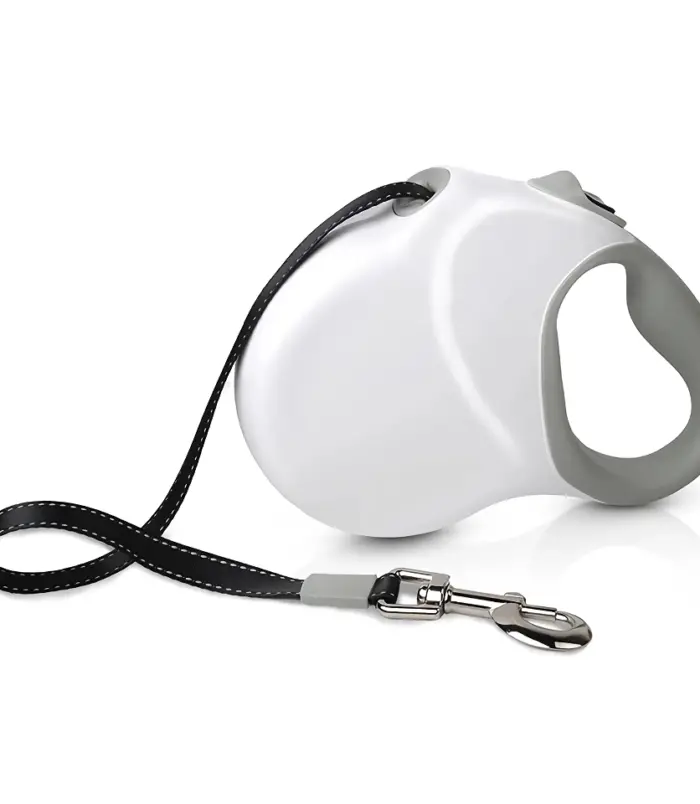 50677-4e1b5b72633d6119d314d89b12054a37.webp 50677-4e1b5b72633d6119d314d89b12054a37.webp