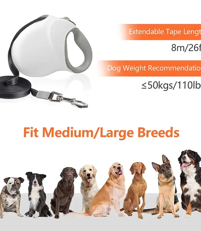 50677-f3cb7c0186fce58389c3fa462e77e2fa.webp 50677-f3cb7c0186fce58389c3fa462e77e2fa.webp