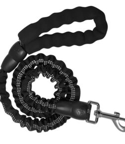 Stretchable Dog Leash