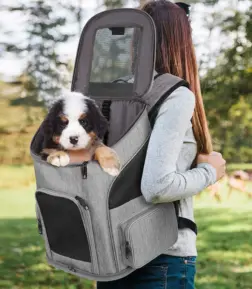 Premium Breathable Small Dog and Cat Backpack