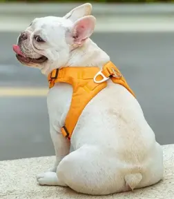 Eco-Friendly Adjustable No-Pull Pet Harness