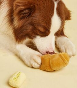 Food-Shaped Squeaky Dog Toy