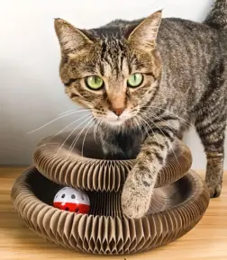 Magic Foldable Cat Scratch Board with Bell