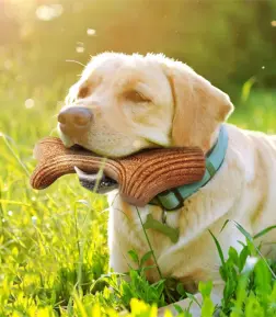 Indestructible Real Wood Deer Chew Toy for Dogs
