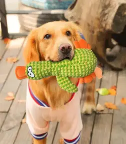 Cute Plush Duck Squeak Toy for Dogs