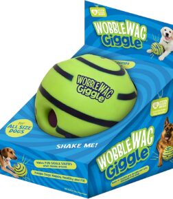 Giggle Glow Ball Dog Toy