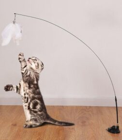 Interactive Cat Toy
