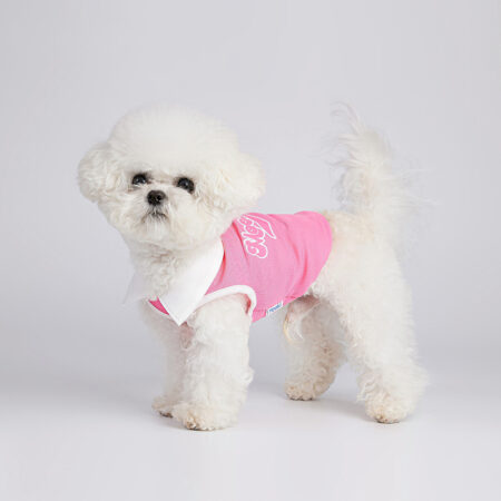 Breathable Summer Dog Vest