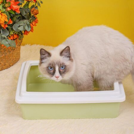 Fully Enclosed Cat Litter Box