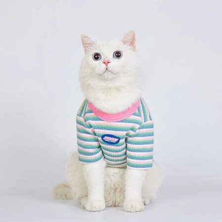 Autumn Pet Hoodie - Long Sleeve Pullover for Small and Medium Dogs and Cats