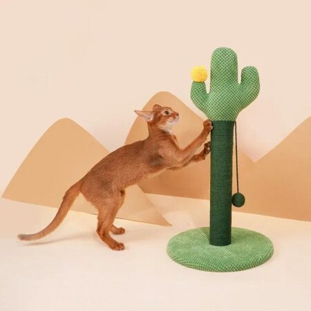 Cactus Cat Scratching Post with Ball