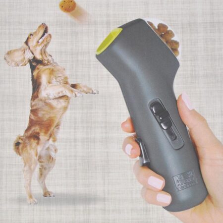 Interactive Dog Training Toy