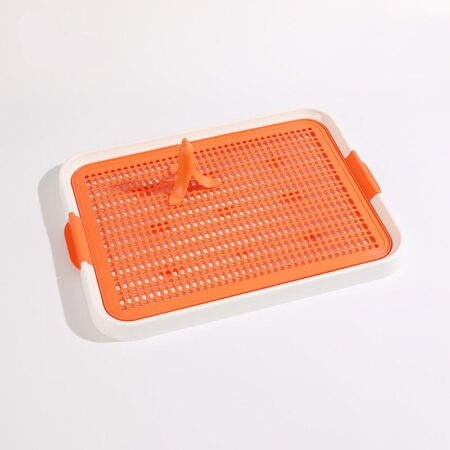 Flat Toilet Pool for Dogs