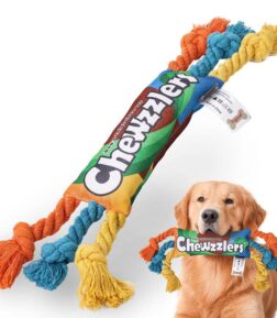 Puppy Dog Colorful Cotton Chew Rope Knot Toy