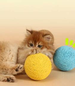 Interactive Sisal Cat Scratching Ball with Sound