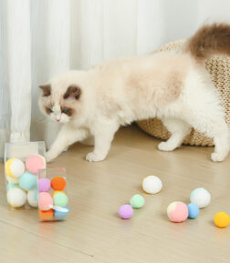 Interactive Cat Toy Ball