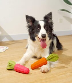Durable Carrot-Shaped Chew Toy for Small Dogs & Puppies