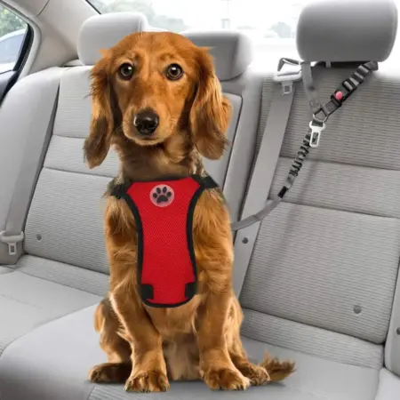Adjustable Dog Car Seat Belt