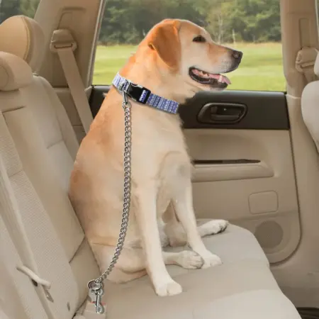 Adjustable Metal Pet Seat Belt Leash