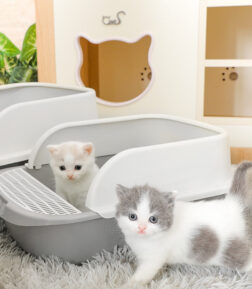 Large Semi-Enclosed Cat Litter Box with Anti-Splash Design and Deodorizing Kit
